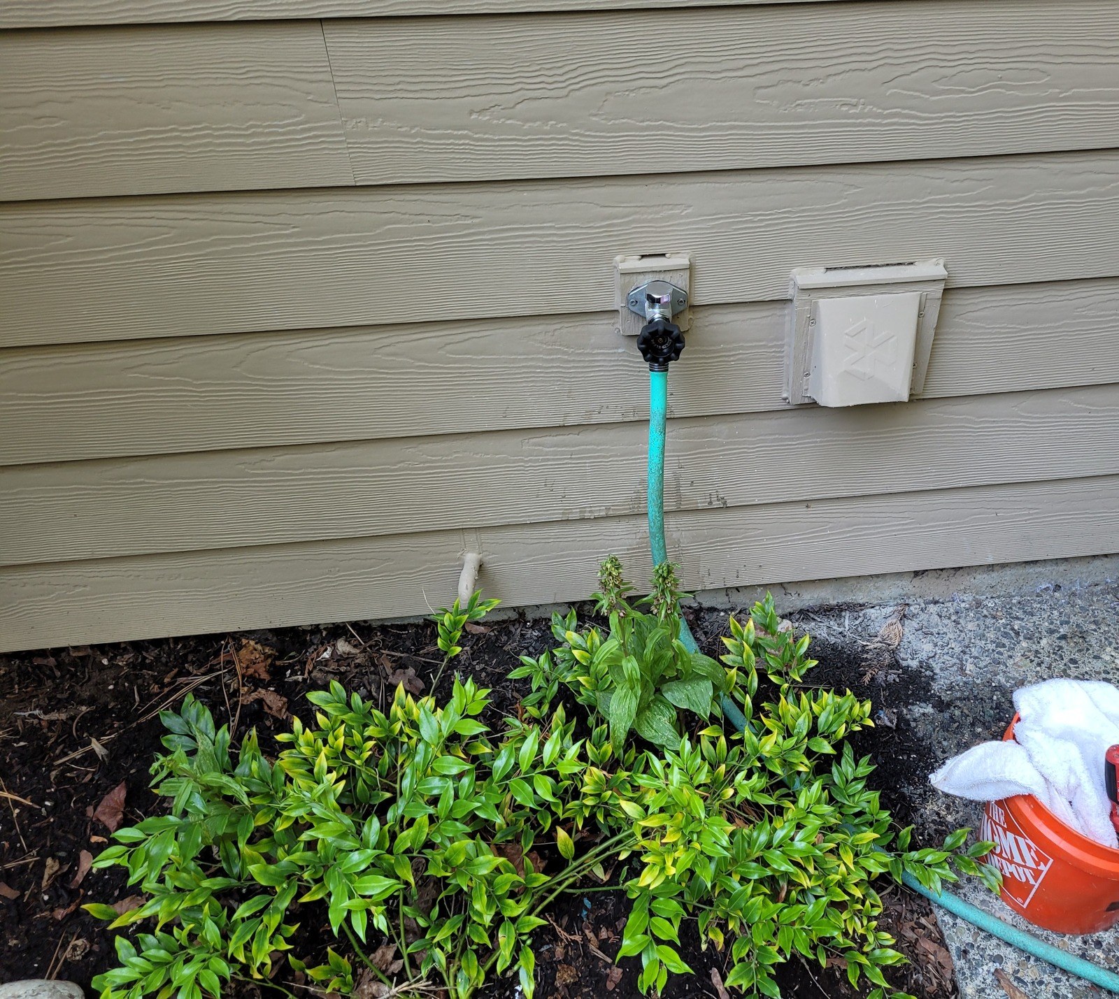 New chrome hose bib with a black wheel handle mounted on tan lap siding beside a dryer vent, with a green garden hose connected and shrubs below