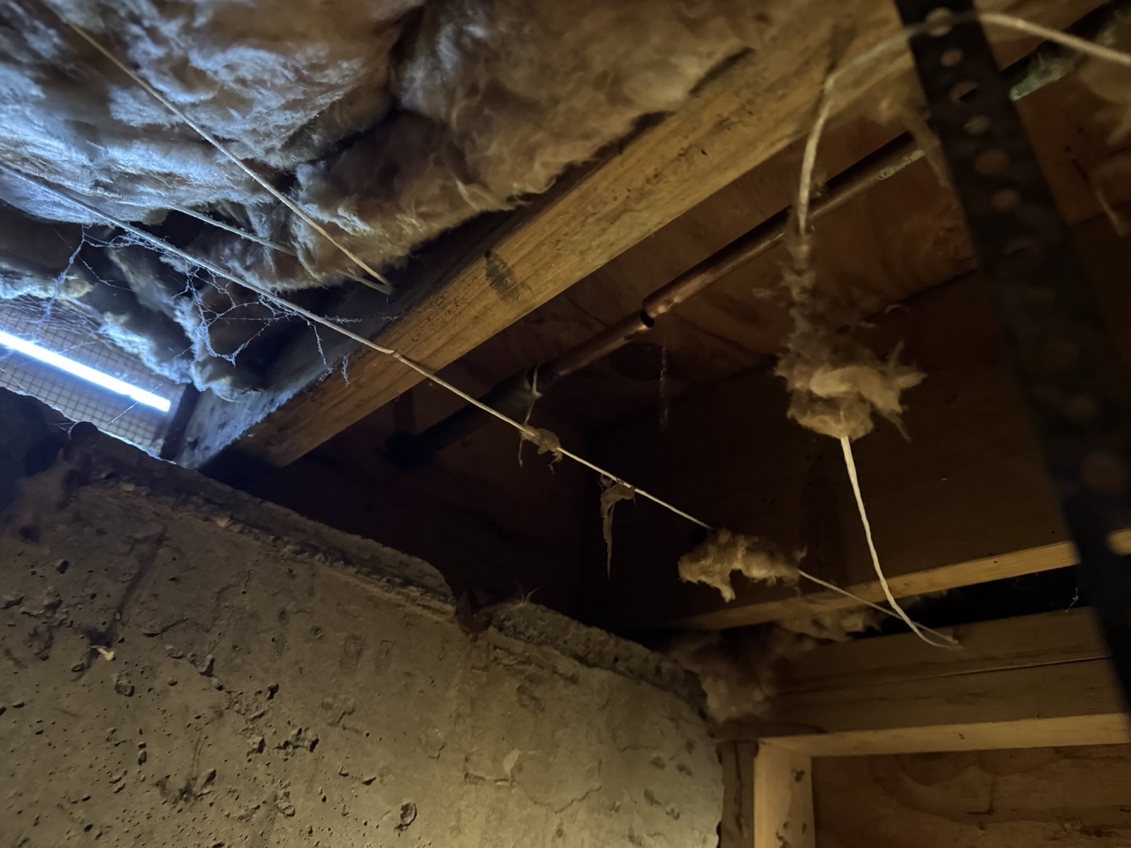 Copper supply pipe running along a floor joist beside batt insulation in a low crawlspace