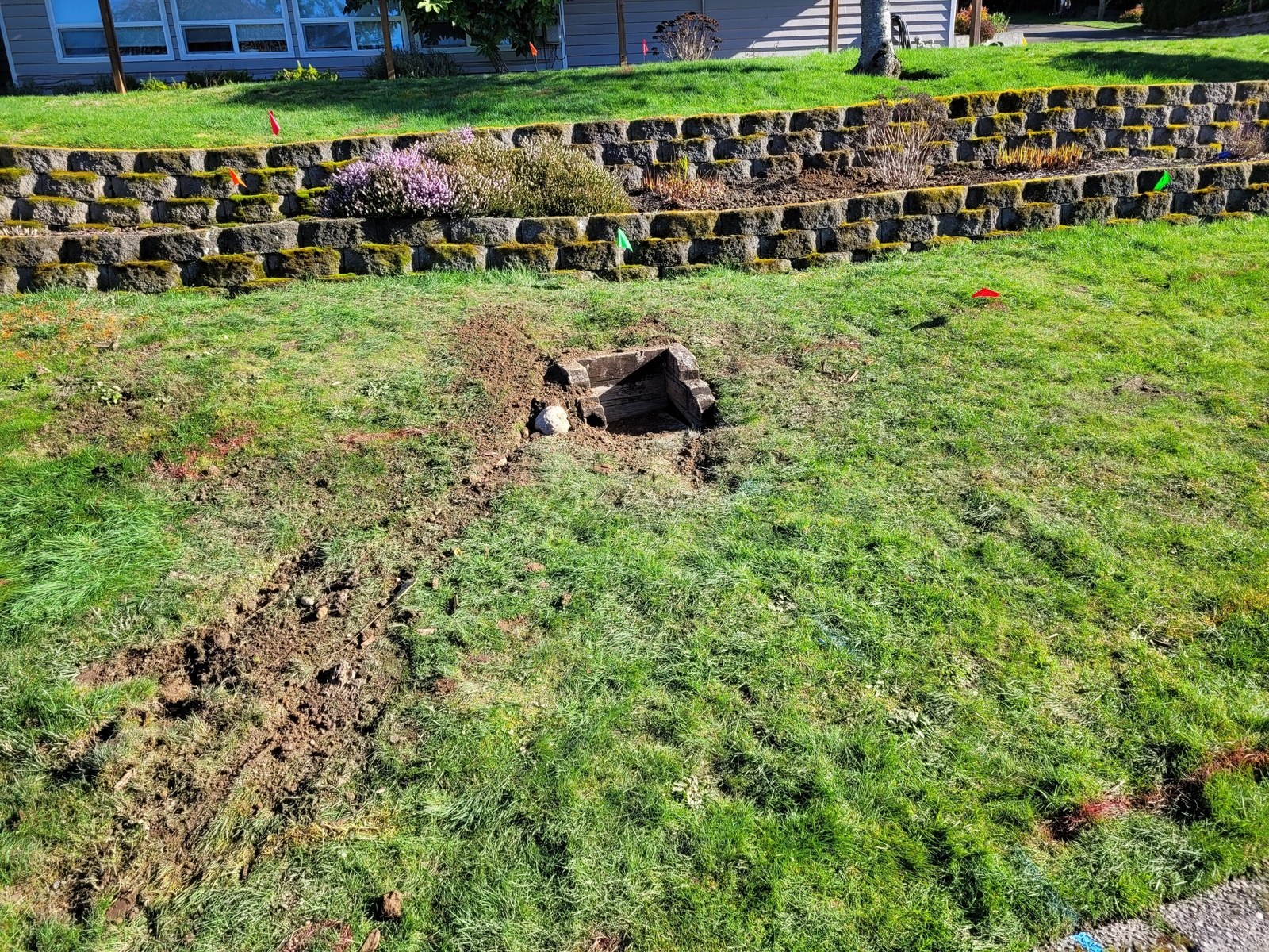 Front lawn marked with utility locate flags and a small excavation pocket, with the grass otherwise intact